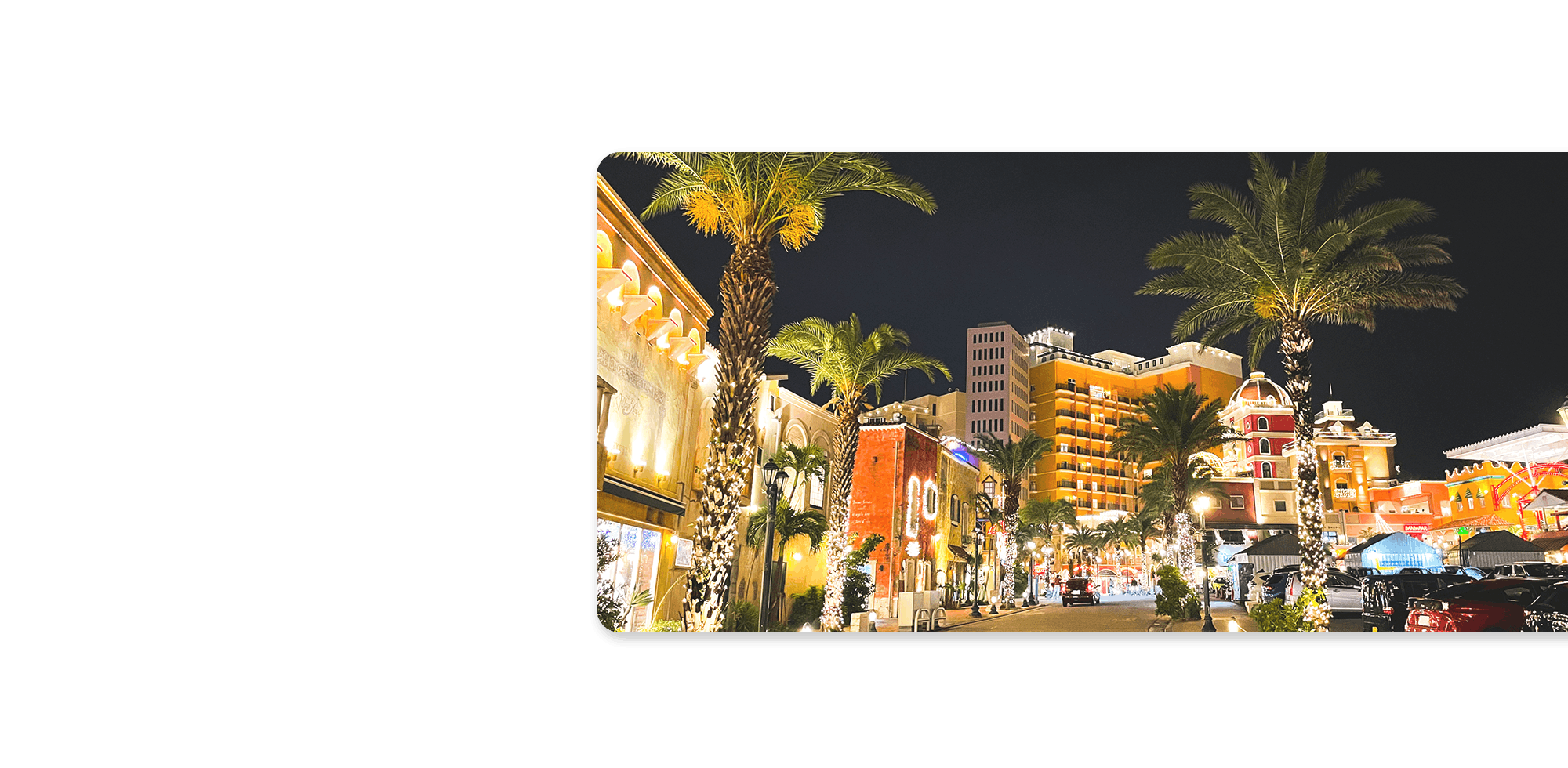 沖縄の夜に、安心を届ける運転代行